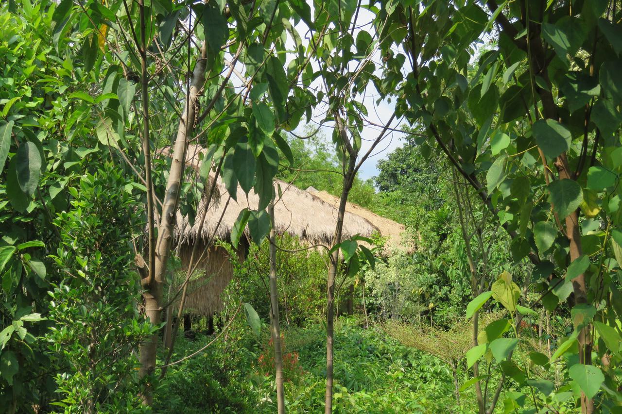 Rainbow Lodge Tatai Esterno foto